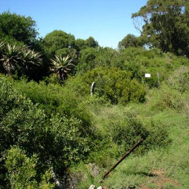 Western Cape, RIVERSDALE district, Albertinia, Driekuilen 298_3, Karnemelksvlei farm cemetery