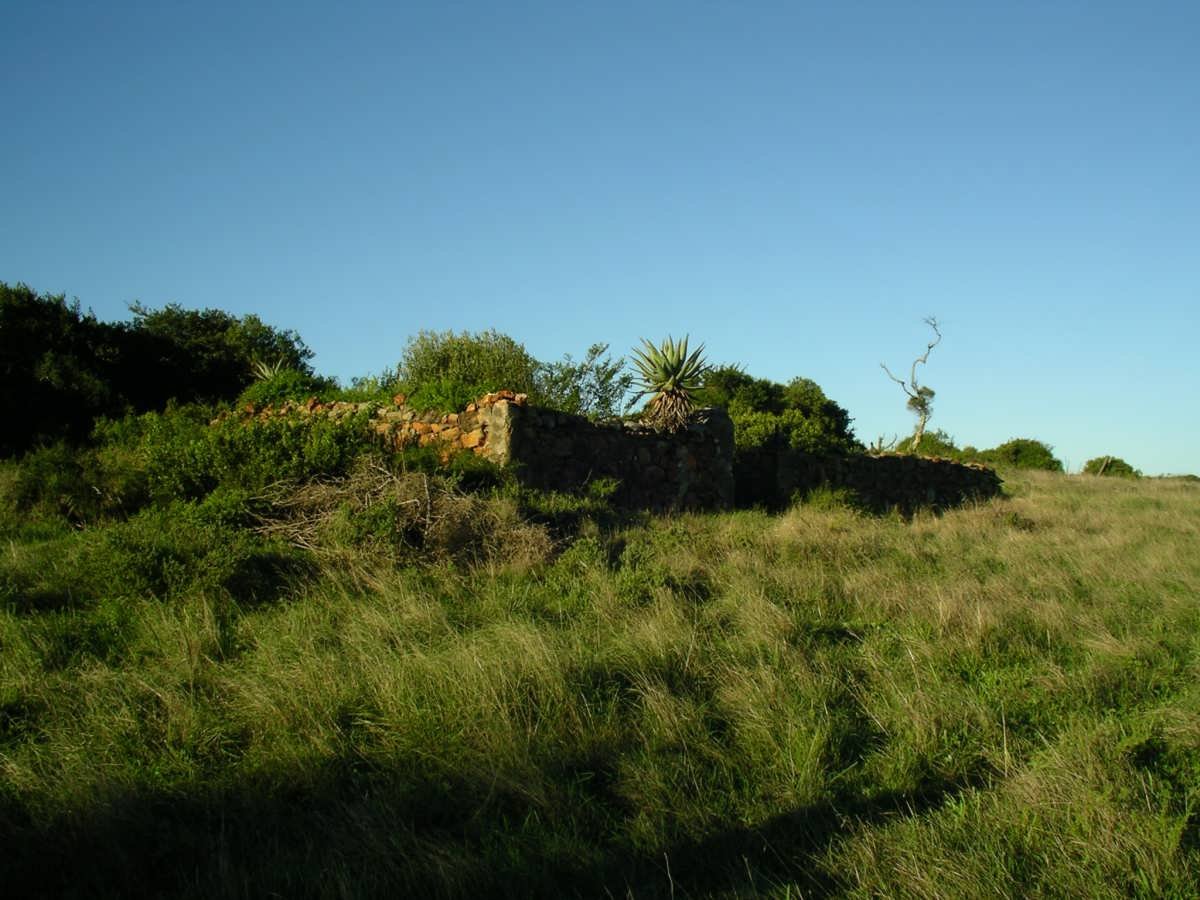 1. Overview on cemetery