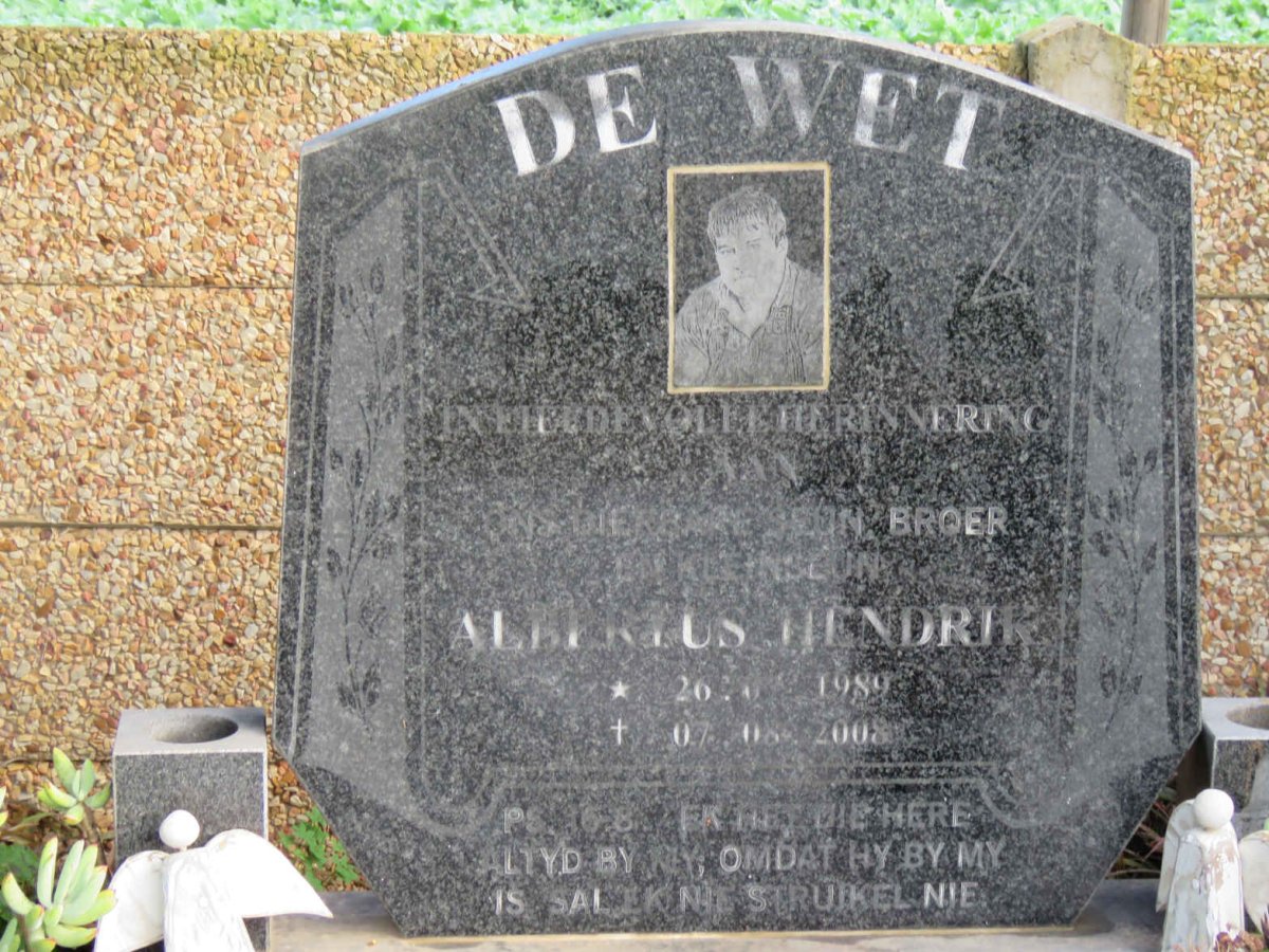 WET Albertus Hendrik, de 1989-2008