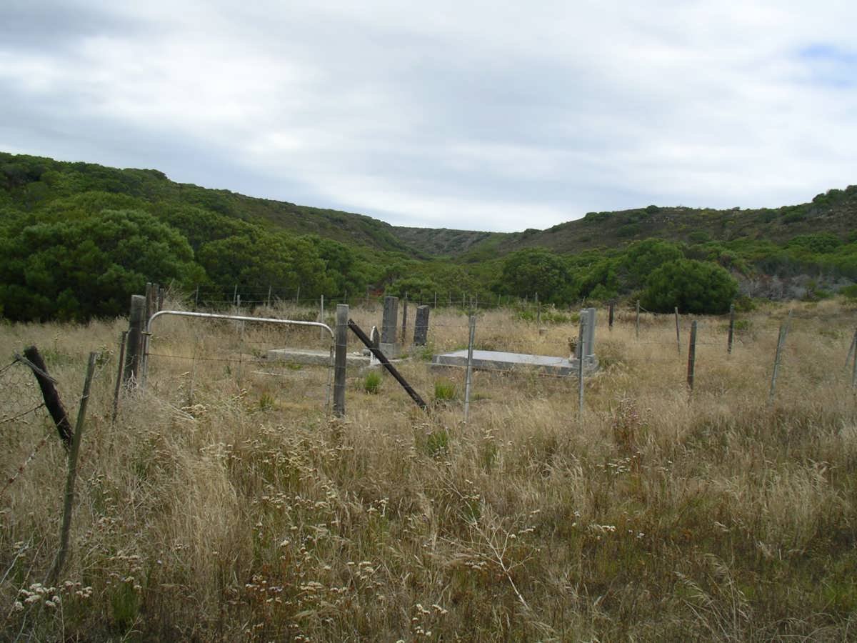 1. Overview