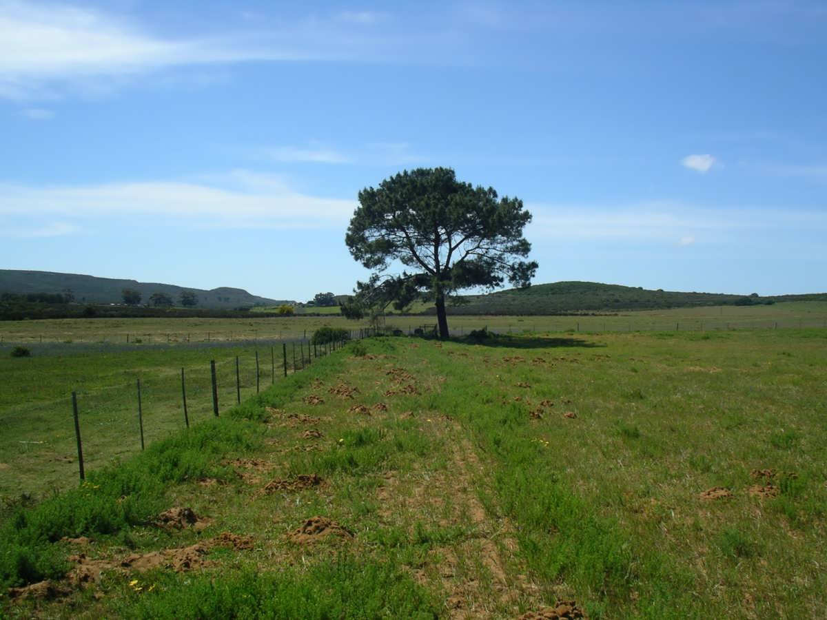 1. Overview