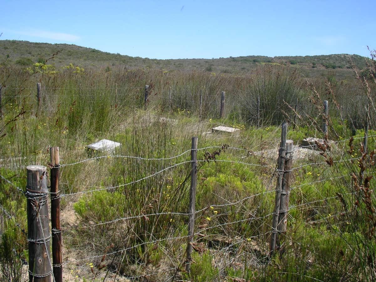 2. Overview