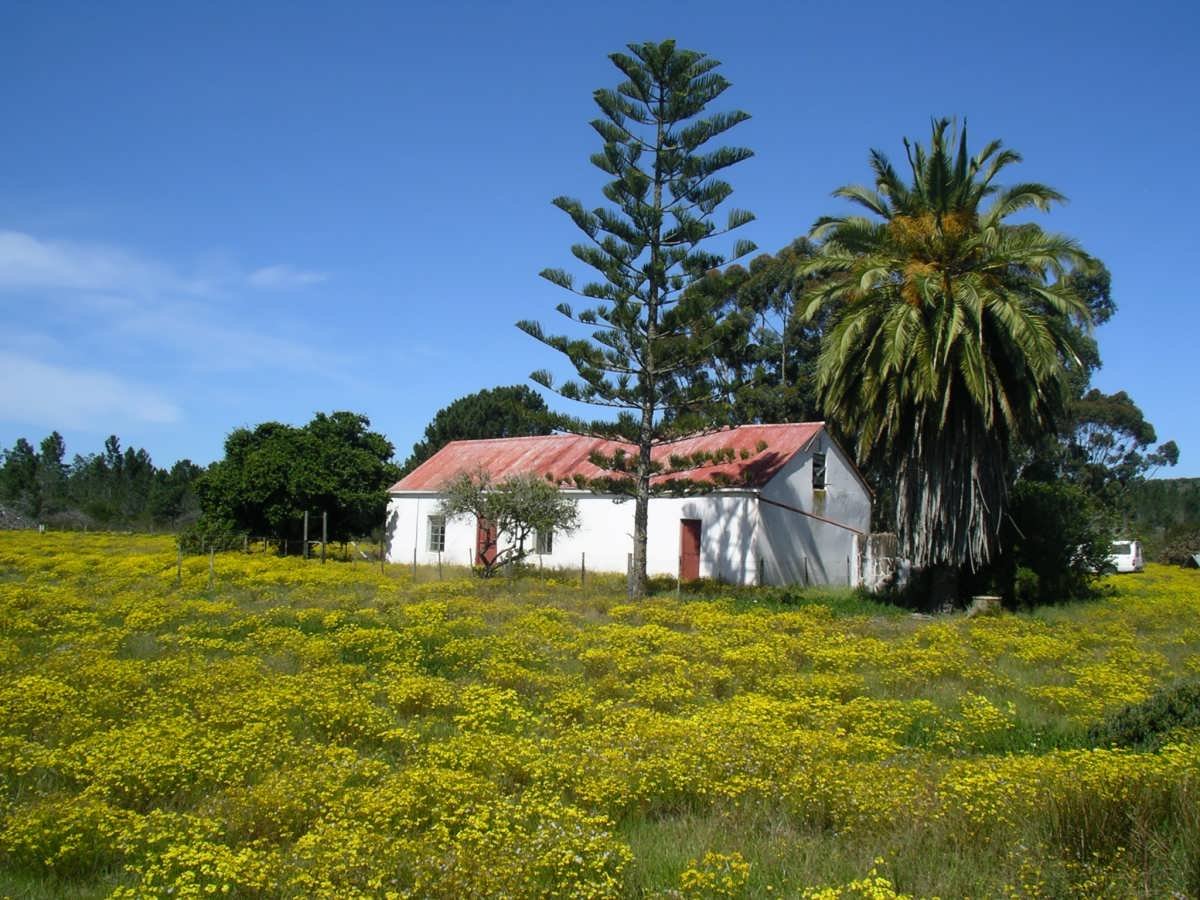 1. Overview