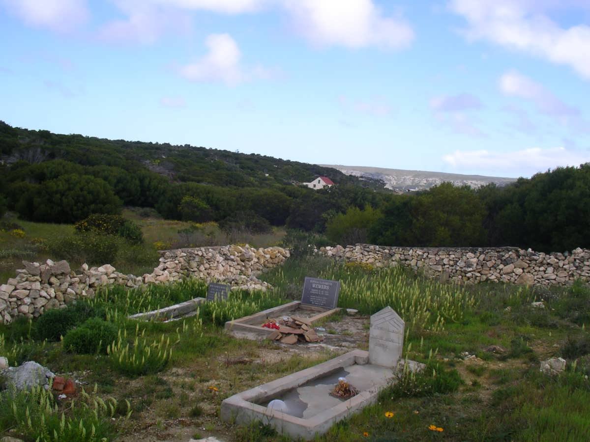 3. Overview
