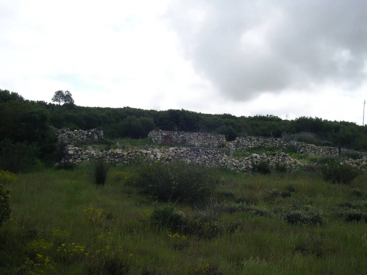1. Overview