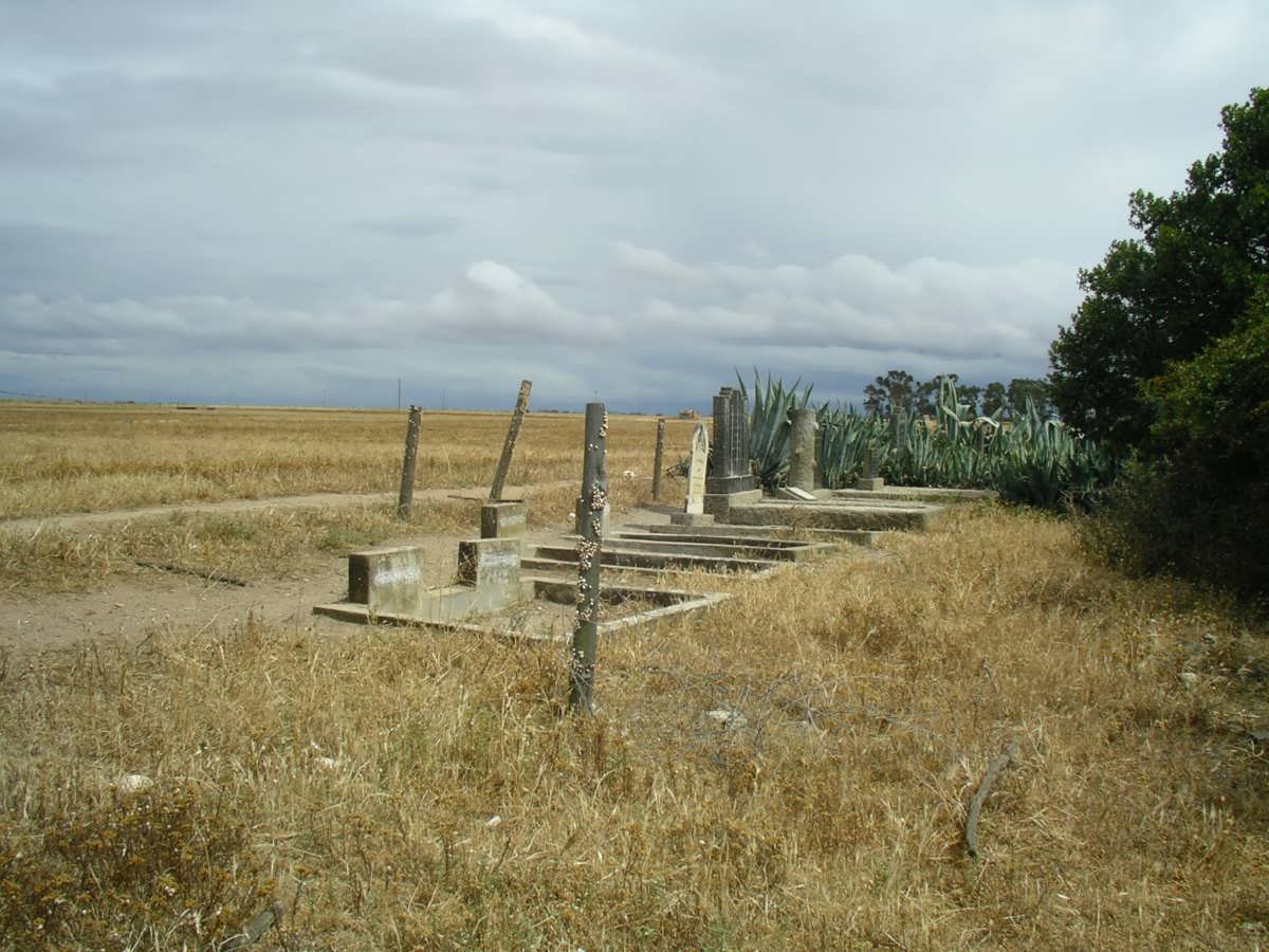 1. Overview