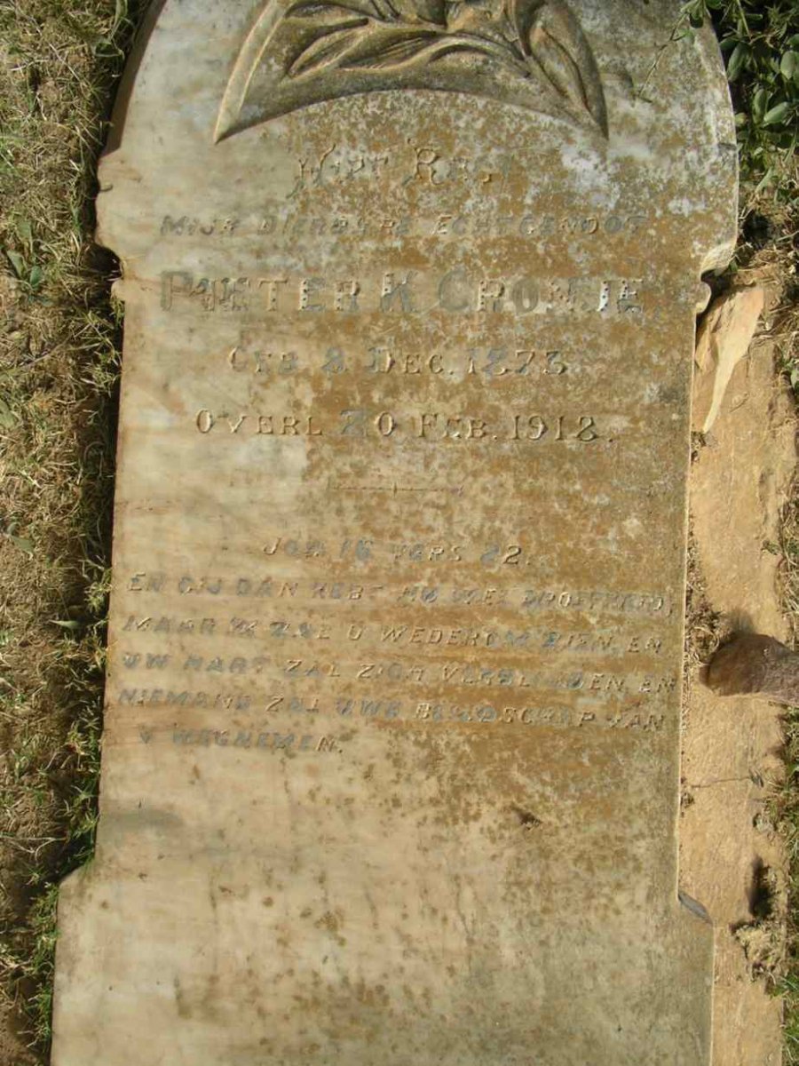 CRONJE Pieter 1873-1918