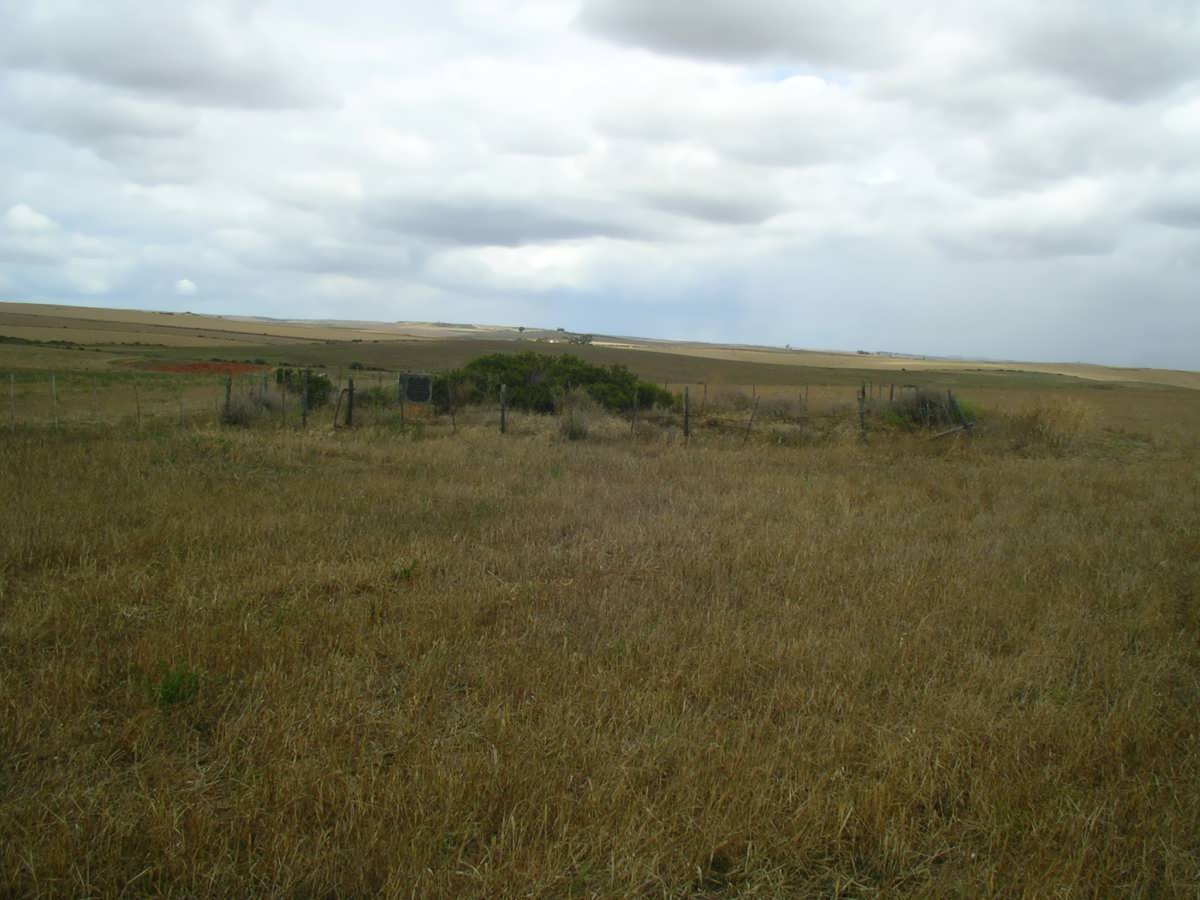 2. Oorsig Begraafplaas