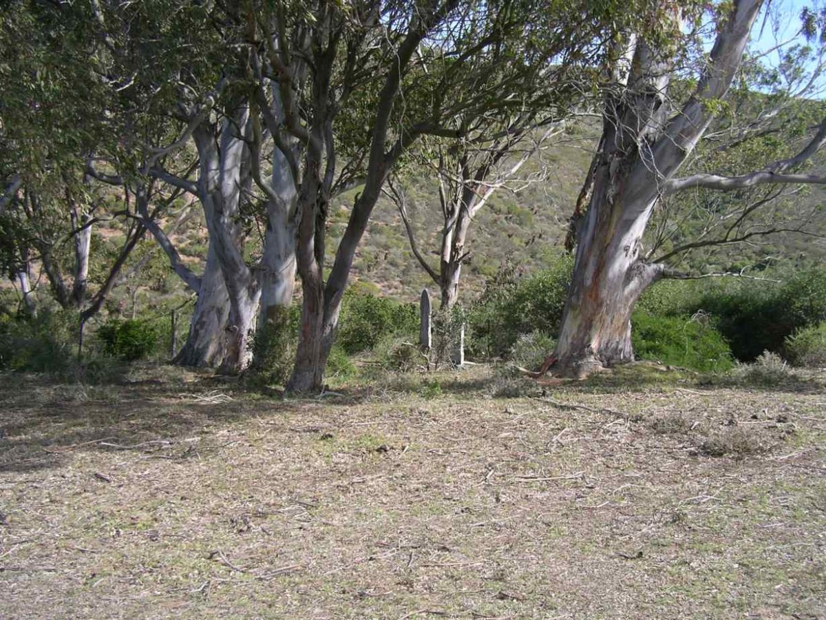 2. Overview of Cemetery