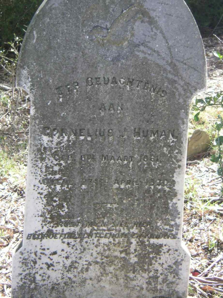 HUMAN Cornelius 1881-1930