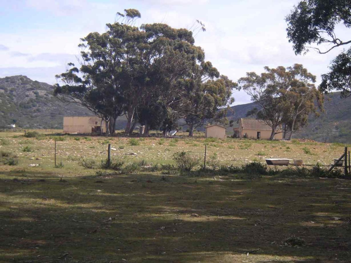 1. Windsor School