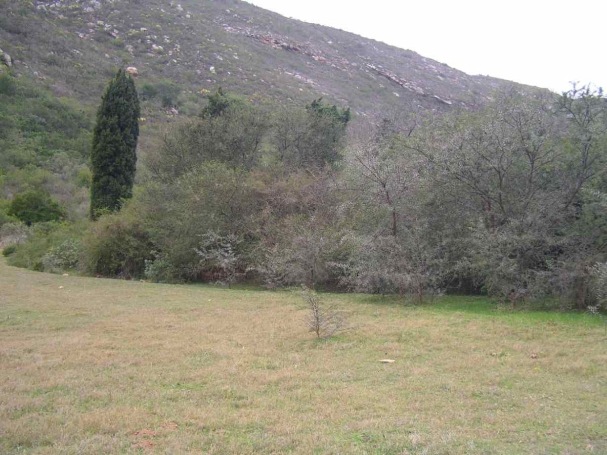 1. Cemetery hidden in the bushes