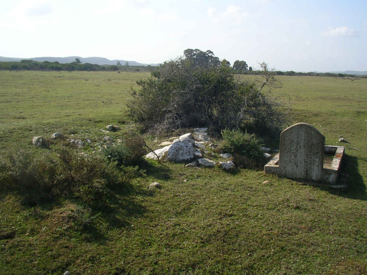 2. Overview