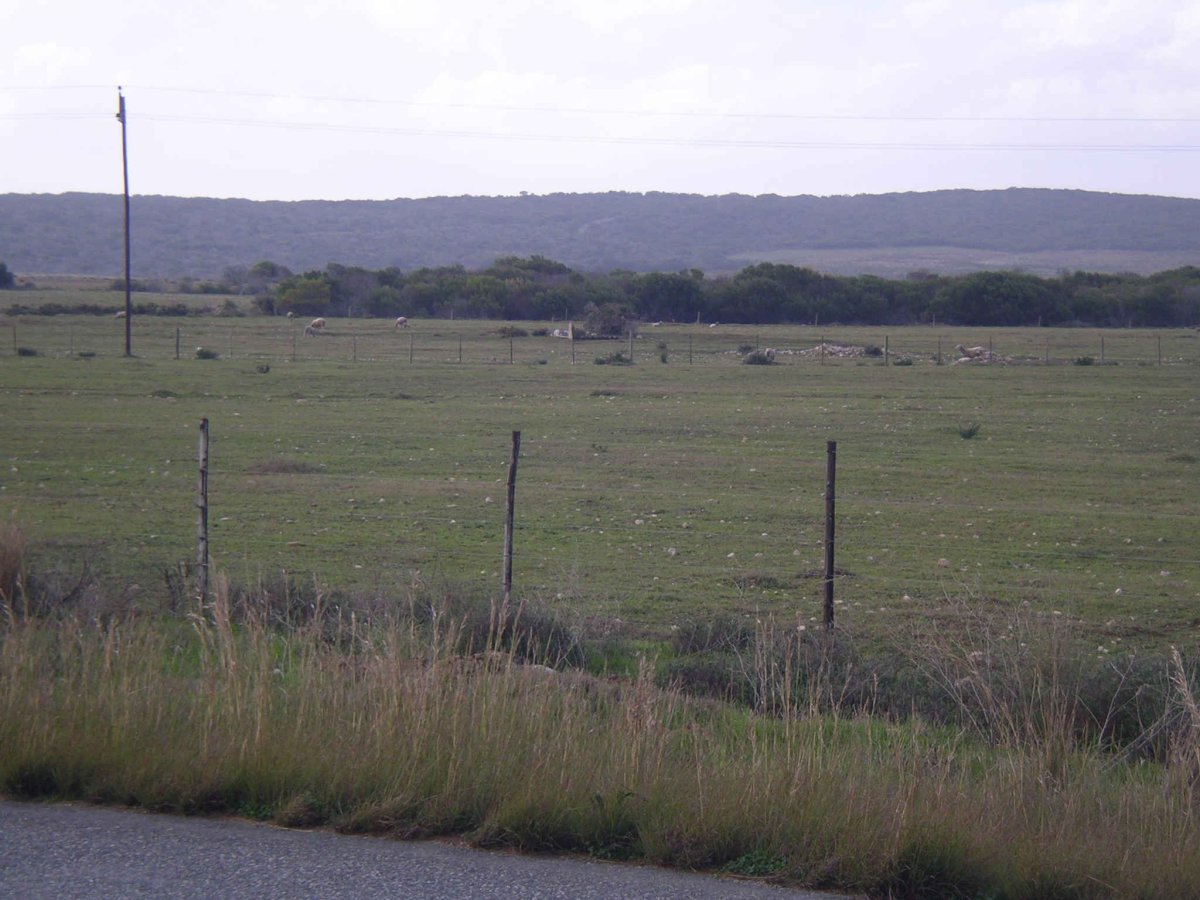 1. Cemetery view from the road 