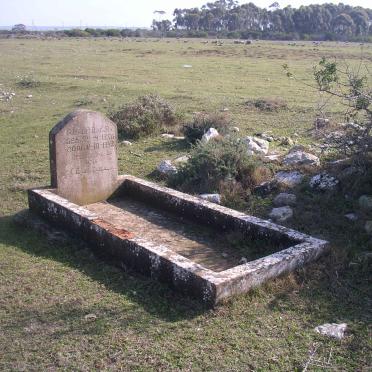 3. Overview