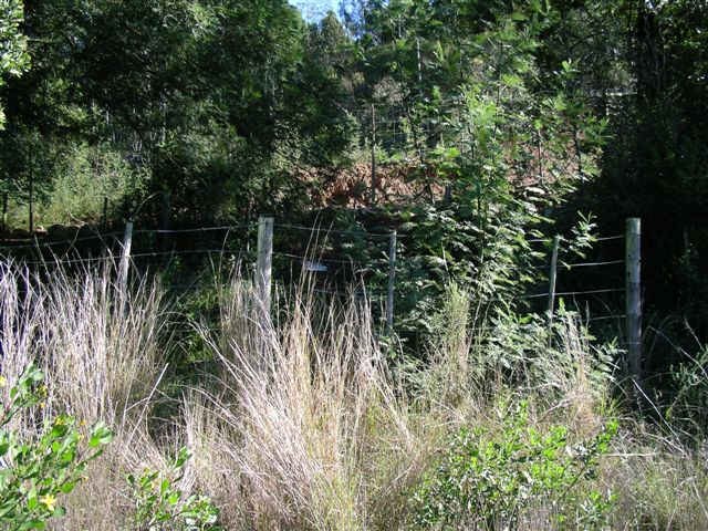 3. Overview