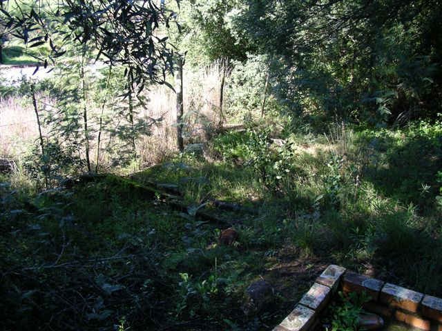 4. Overview