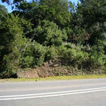 Western Cape, RIVERSDALE district, Riversdale Settlements, farm cemetery_8