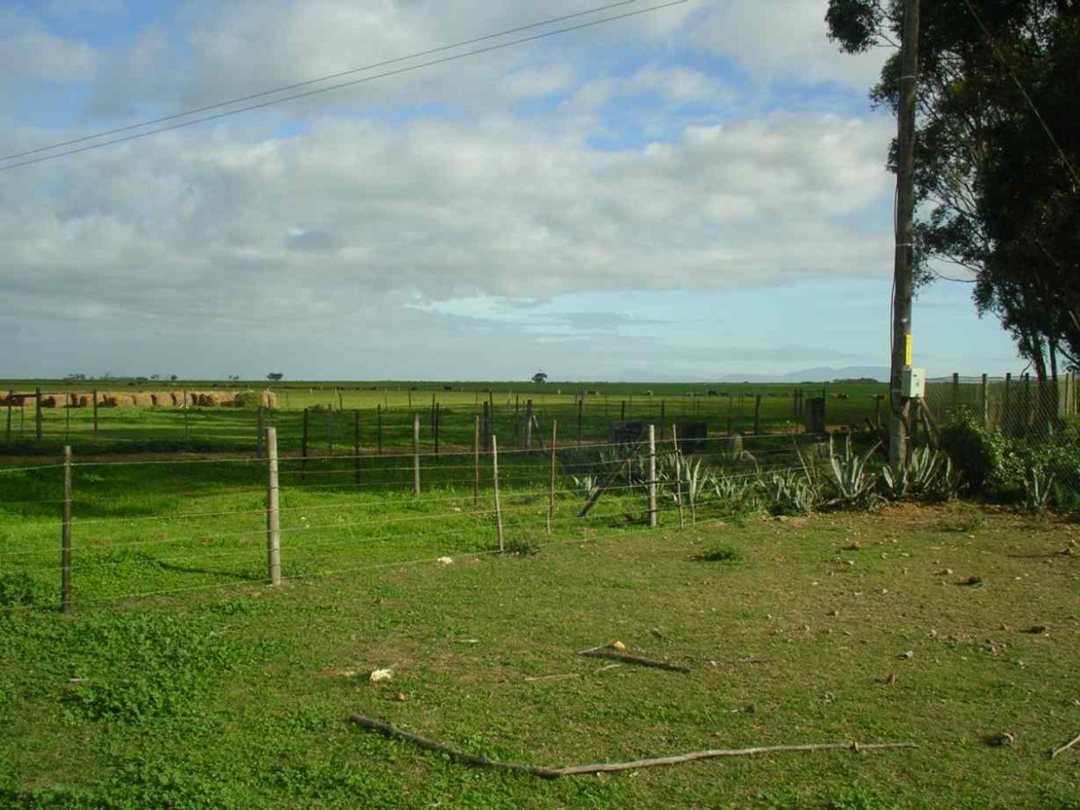 1. Overview