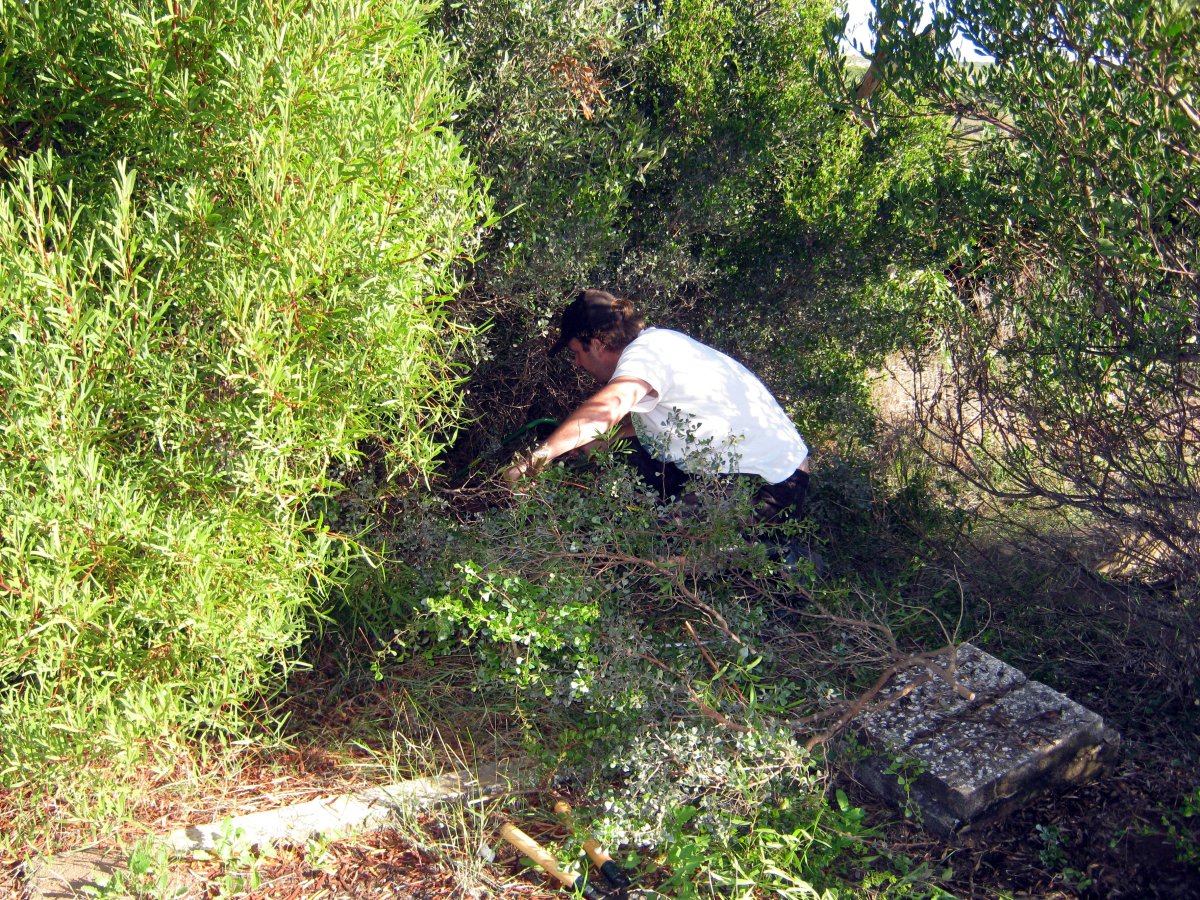 3. Oorsig