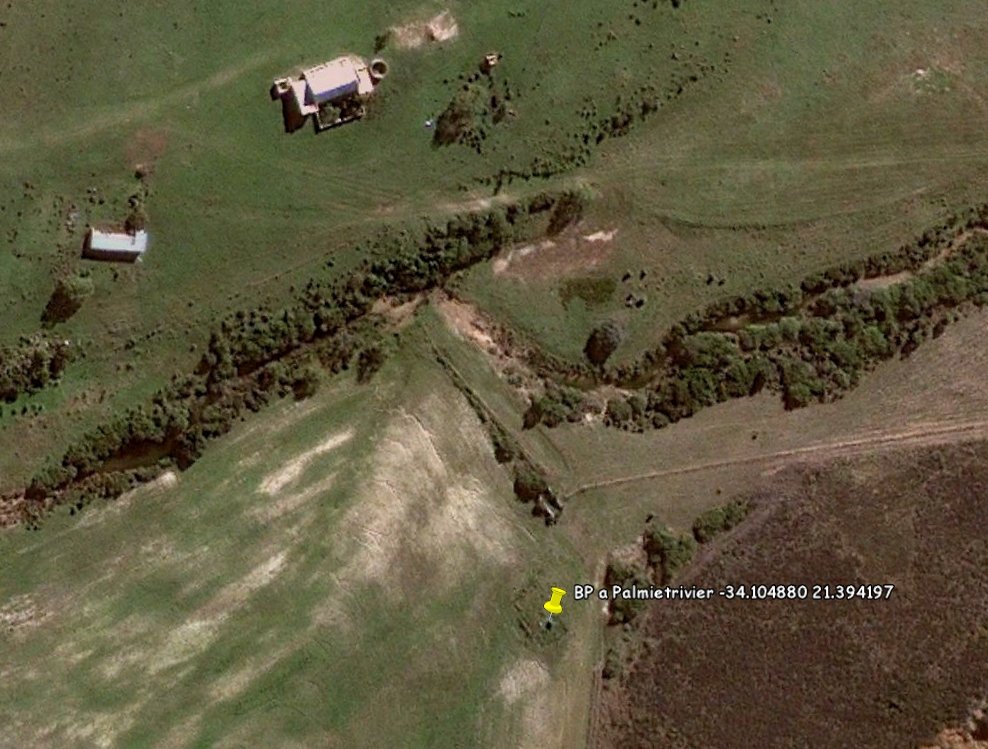 1. Overview