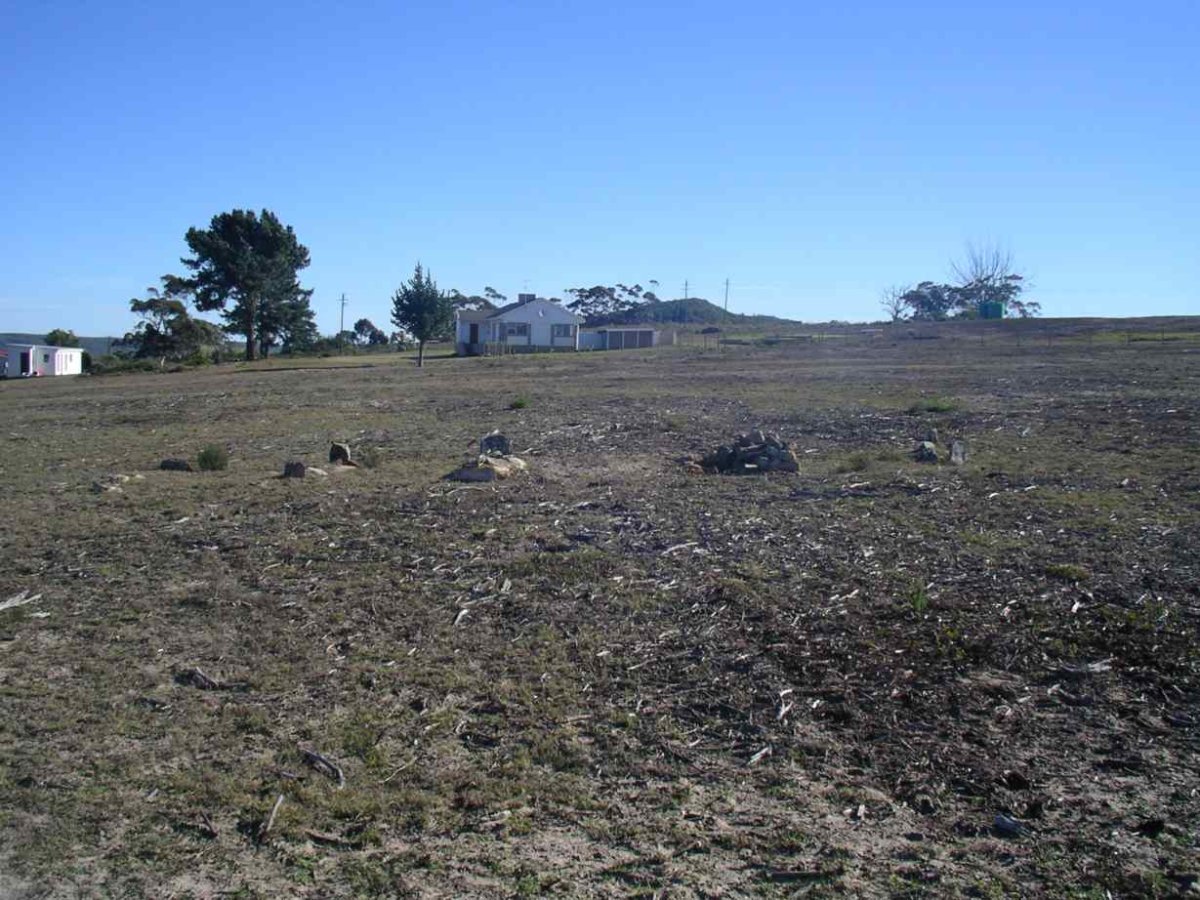 1. Overview