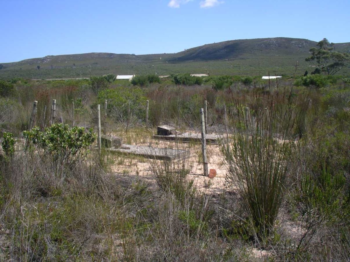 1. Overview