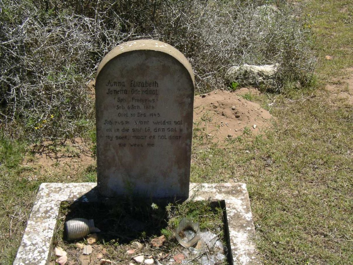 ODENDAAL Anna Elizabeth Jenetta nee PRETORIUS 1879-1945