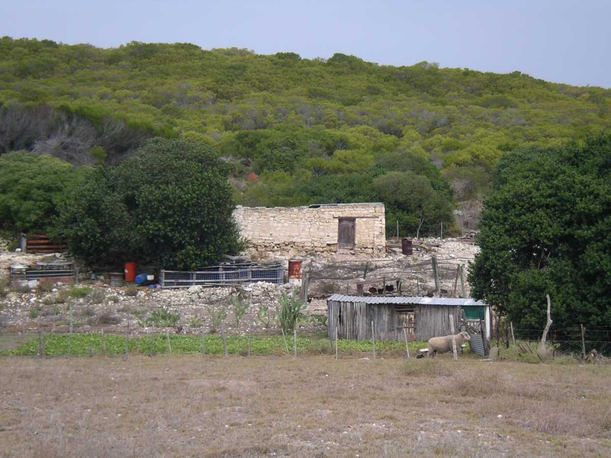 6. Overview