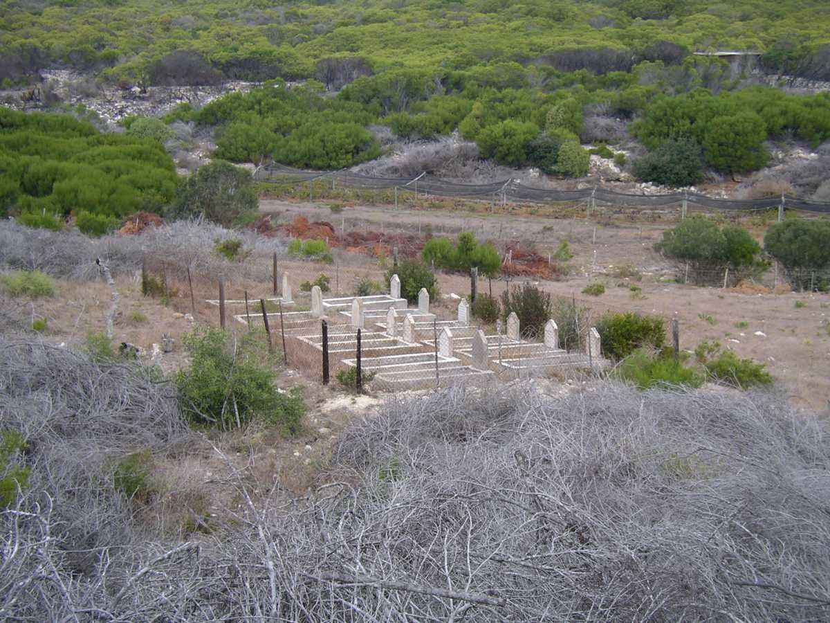2. Overview