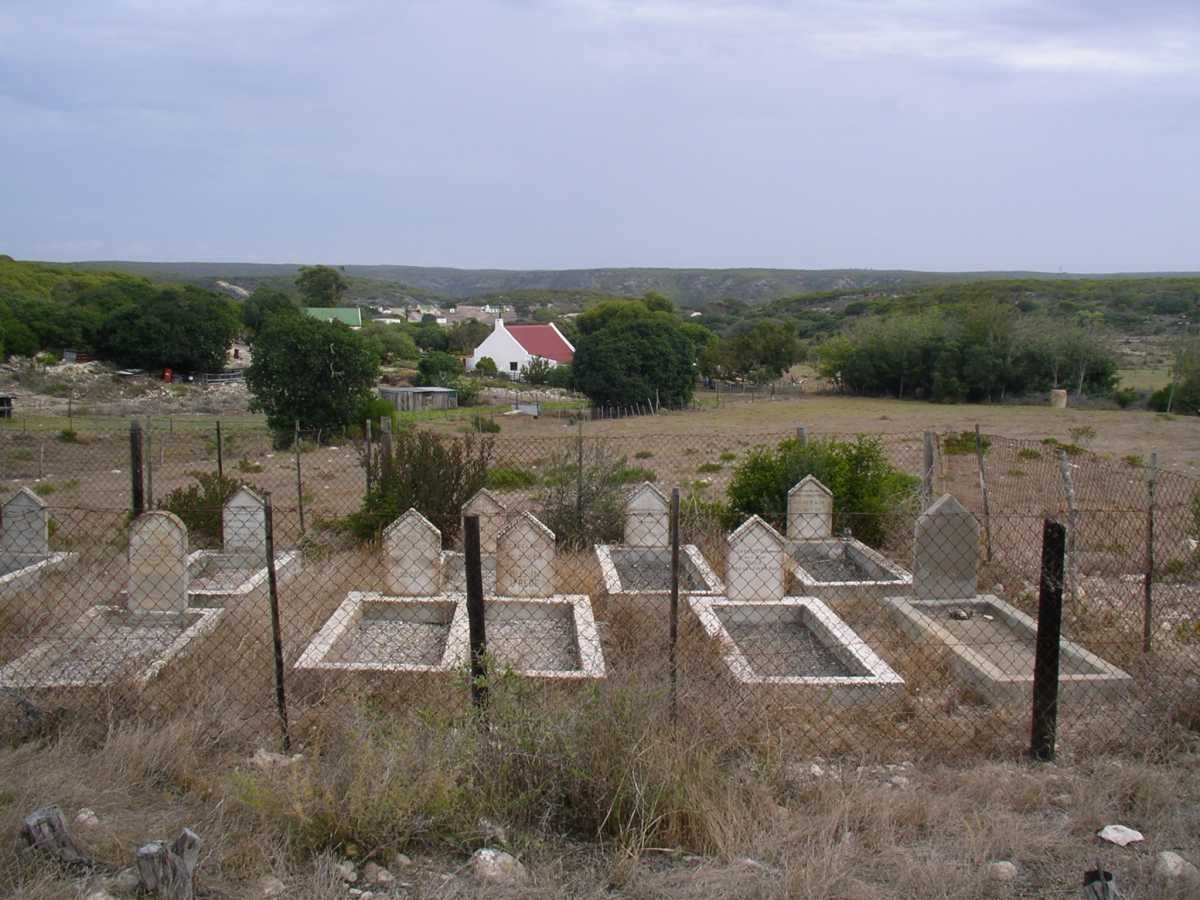 4. Overview