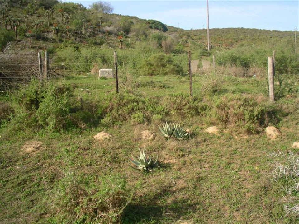 1. Overview