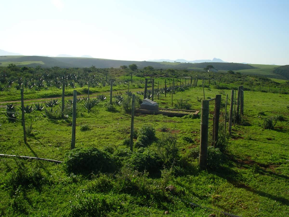 1. Overview