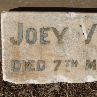 ? Joey