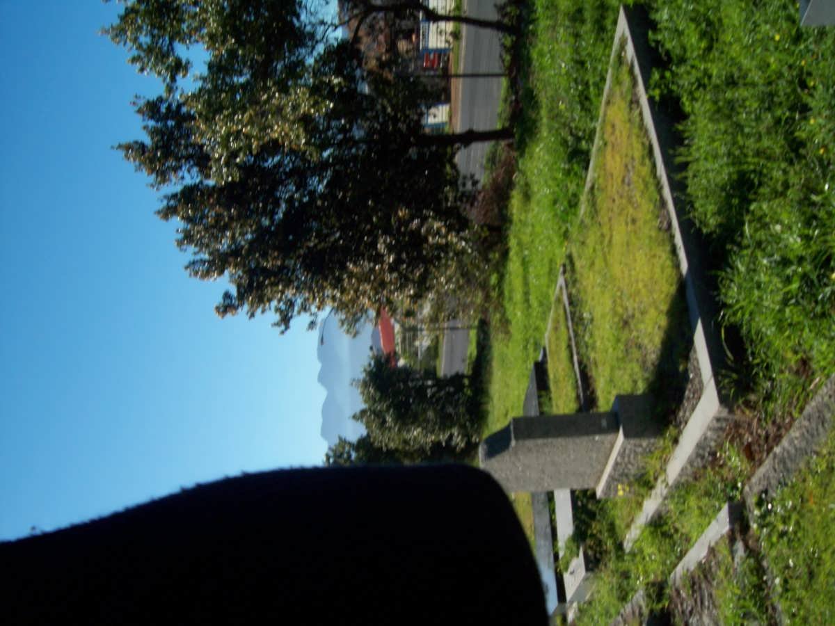 1. Overview