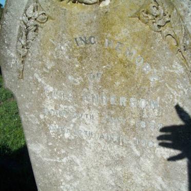 ANDERSON Carl 1837-1902