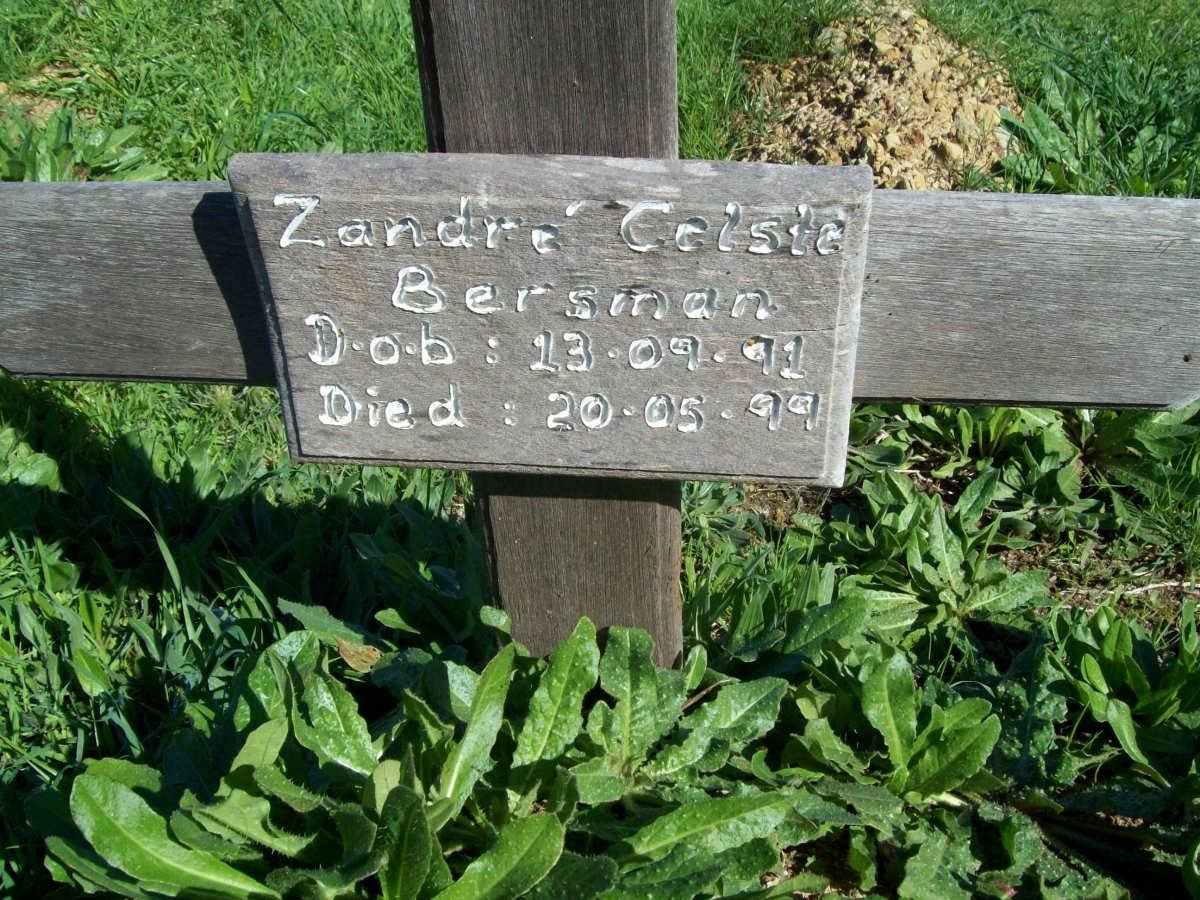 BERSMAN Zandra Celste 1991-1999