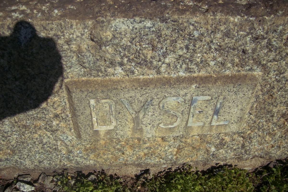 DYSEL