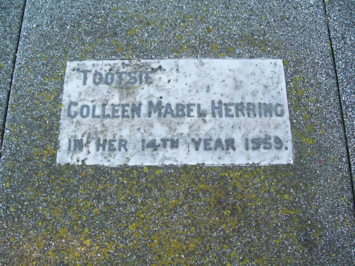 HERRING Colleen Mabel -1959