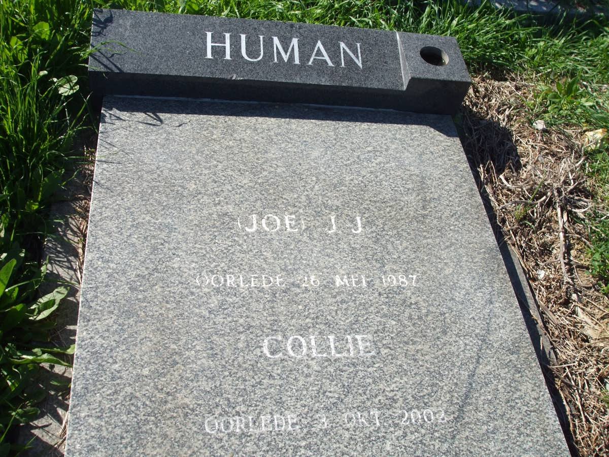 HUMAN J.J. -1987 &amp; Collie -2002