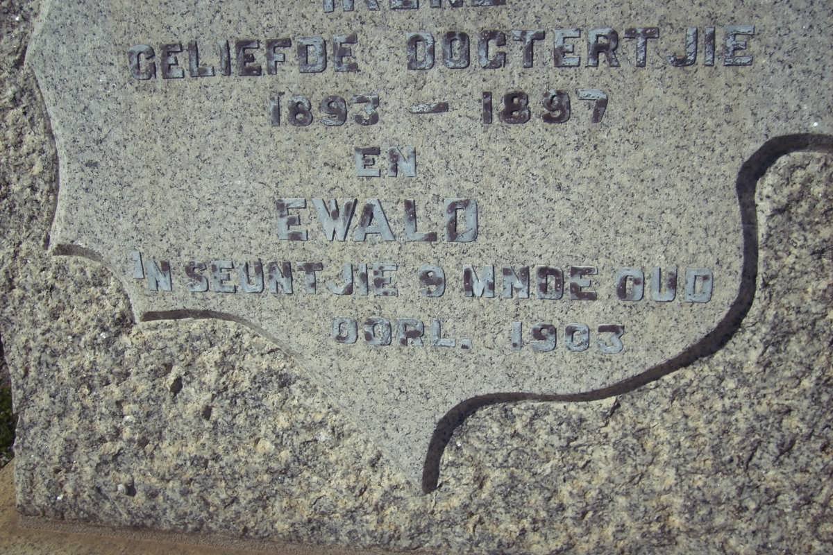 IMMELMAN Ewald