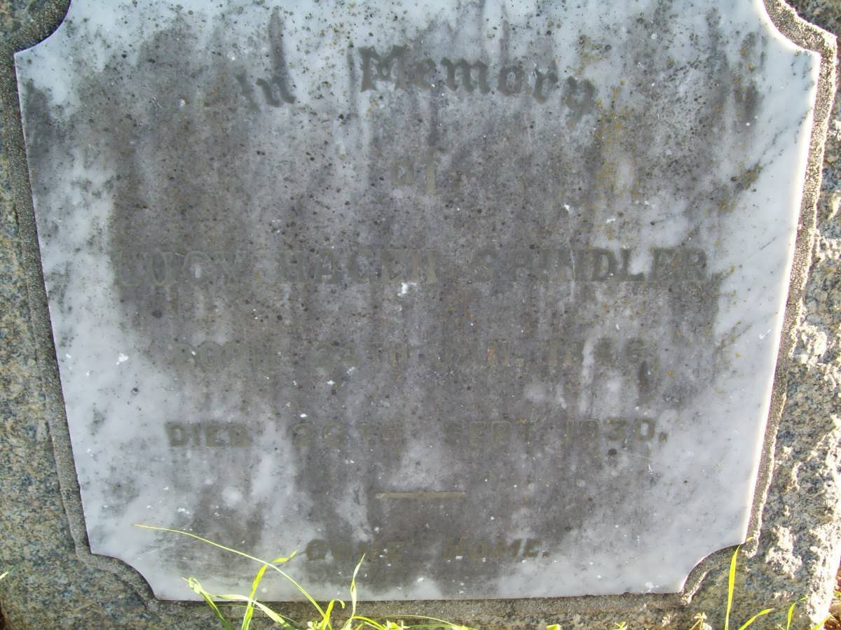 SPINDLER Luoy Hagen  1846-1930